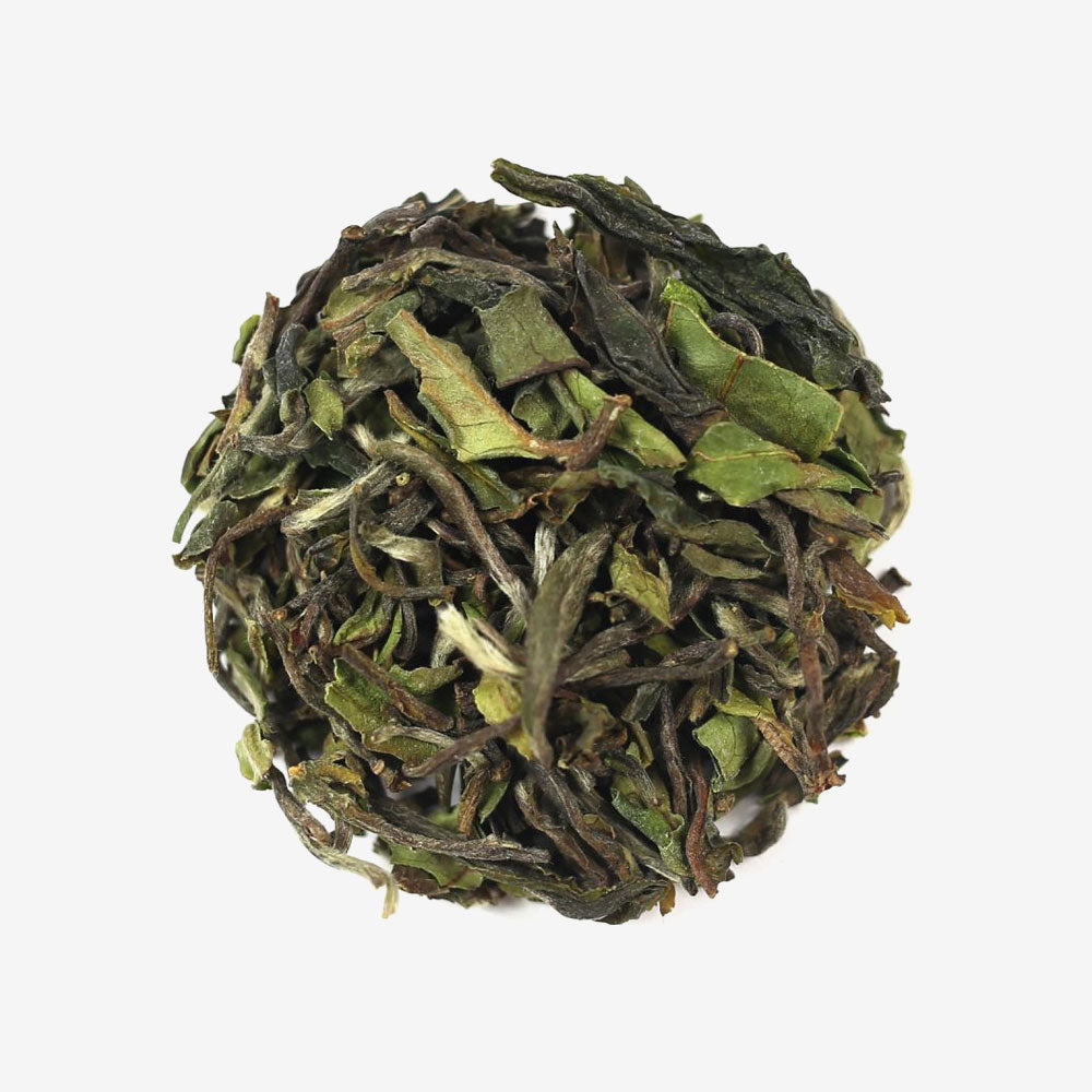 Darjeeling First Flush