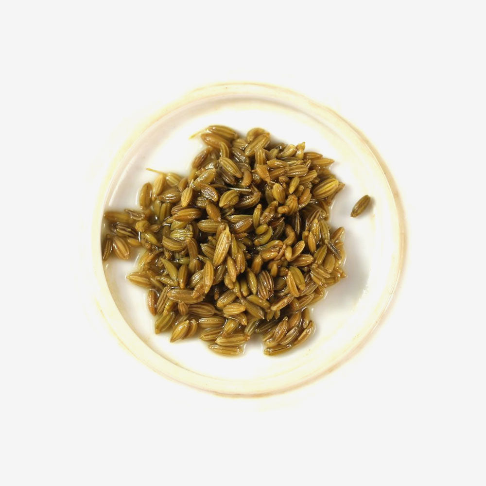 Fennel Seed Tea